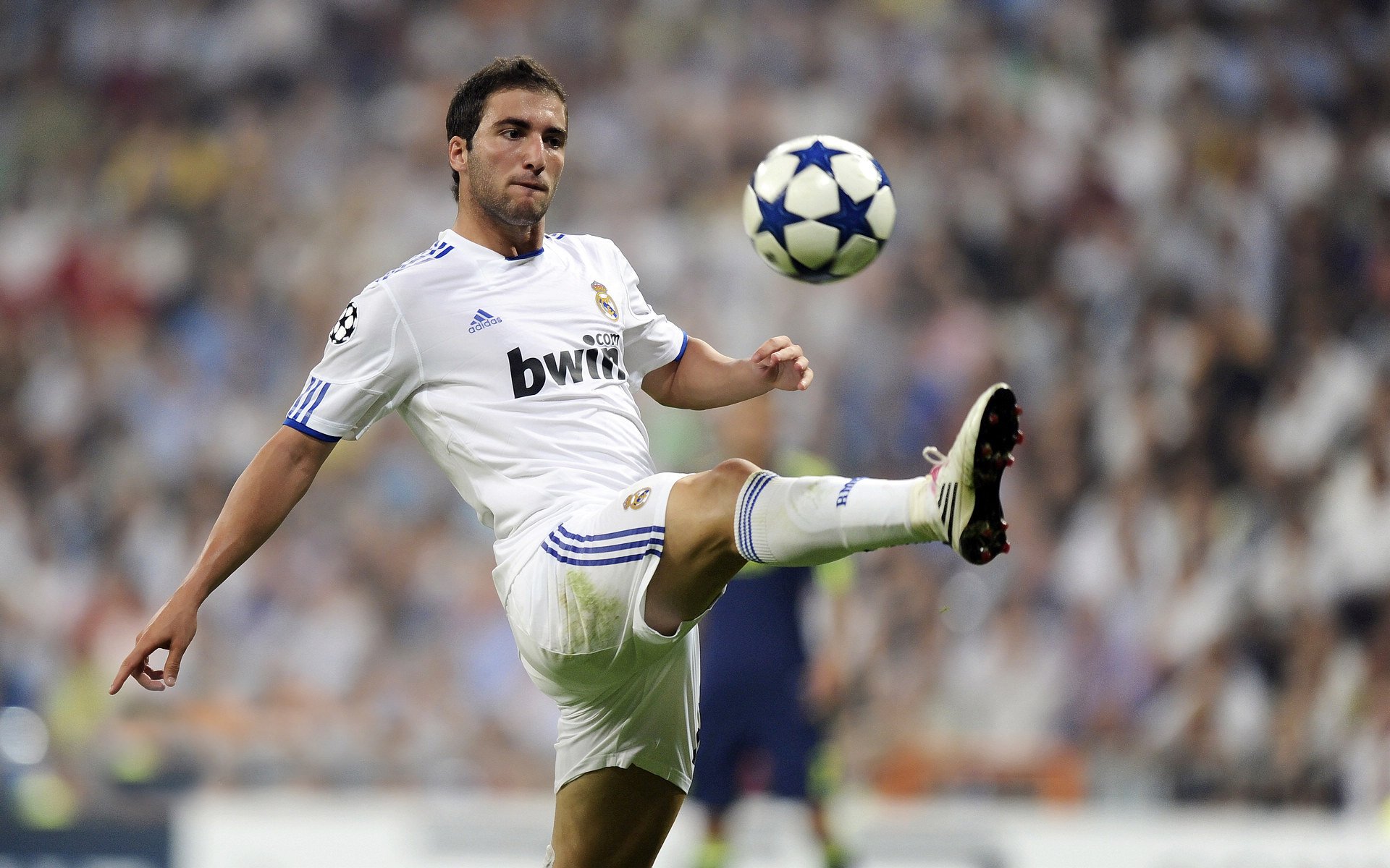 全国青少年足球“成长路径图”全面梳理，行业未来可期，青少年足球发展规划